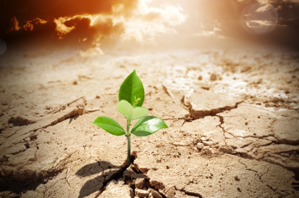 Climate change