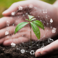 ‘Go where the emissions go’: The challenge for Australia to achieve net zero