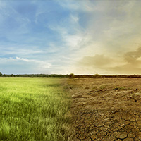 Investors issue warning for governments to ‘get climate policy right’