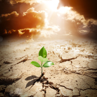 Climate change impacts to drive investment returns: BlackRock