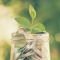 Investors want crackdown on greenwashing: CFA Institute