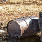 G20, fossil fuels, climate change, Paris Climate agreement, Actiam, Aegon Asset Management, Australian Ethical Investment, Aviva Investors, Bayerische Versorgungskammer, Dana Investment Advisors, EdenTree Investment Management Ltd, Environment Agency Pension Fund, First Affirmative Financial Network, Friends Fiduciary Corporation, Inflection Point Capital Management, KBI Global Investors, La Francaise, Legal and General, Trillium Asset Management LLC, Trilogy Global Advisors LP